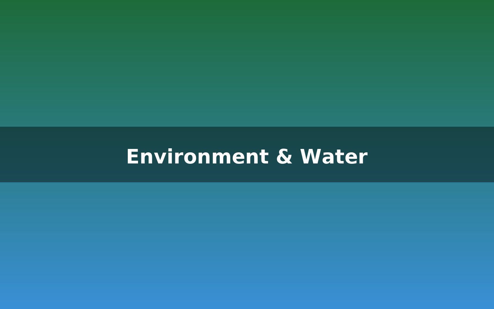 Environment